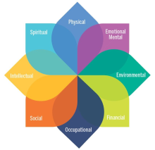 Eight dimensions of wellbeing diagram