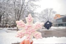 Snowflake cookie