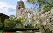 Photograph of campus at springtime