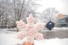 Photograph of a hand holding up a snowflake cookie.