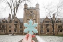 Photograph of a hand holding a snowflake cookie.