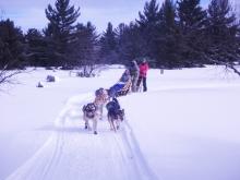 Photograph of a dogsledding team outside in the snow.