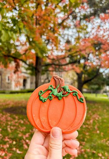 A photo of a hand holding a pumpkin cookie with fall foliage in the background