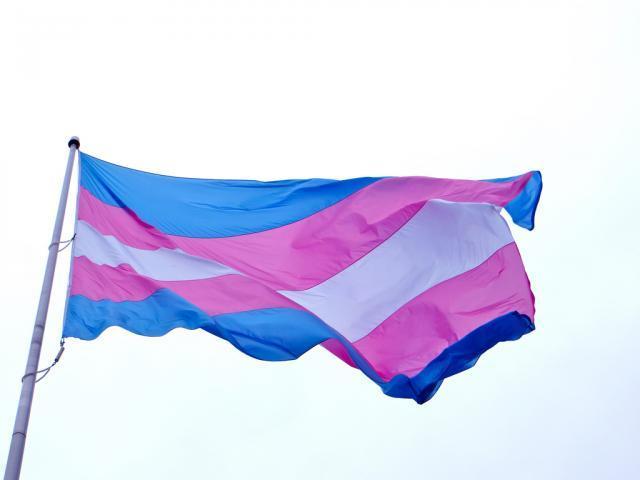 A photograph of a flag with blue, fuchsia, and white stripes.