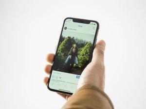 Image of a hand holding a cell phone with a photograph on the screen