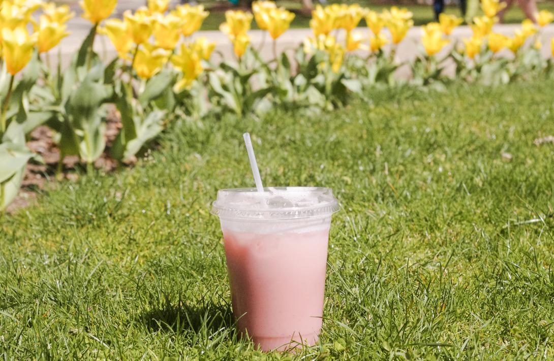 Photograph of a pink smoothie sitting on the grass