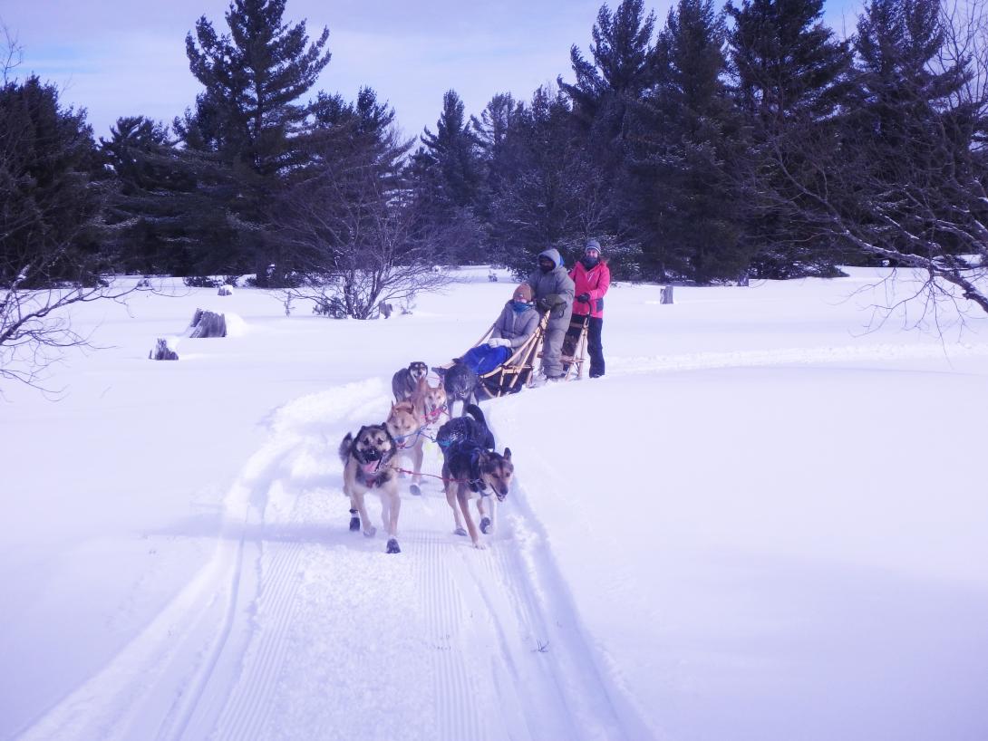 Photograph of a dogsledding team outside in the snow.