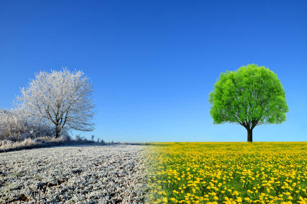 Image with a winter landscape on the left and a spring landscape on the right.